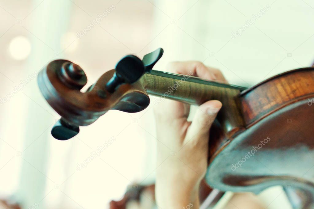 Woman playing the violin,Beautiful young woman playing violin,Girl's hand on the strings of a violin,Women's hands play the violin,close up,music concept