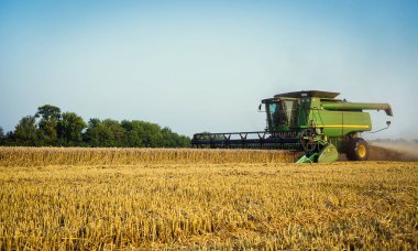 Vinnitsa, Ukrayna-Temmuz 27,2016.Grain hasat, tahıl, bir gün batımı buğday hasat boşaltma sonsuz alanlar'ın altında mavi gökyüzü, yaz peyzaj araya. Tarım, iş, doğa ve kavram