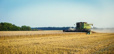 Vinnitsa, Ukrayna-Temmuz 27,2016.Grain hasat, tahıl, bir gün batımı buğday hasat boşaltma sonsuz alanlar'ın altında mavi gökyüzü, yaz peyzaj araya. Tarım, iş, doğa ve kavram