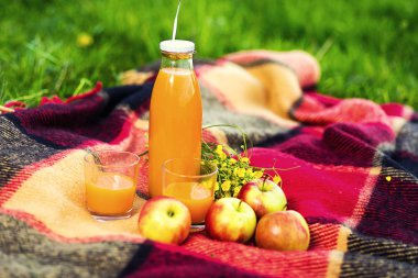 Çimlerde piknik. suyu, bir demet kır çiçekleri, meyve, ot, sağlıklı yiyecek ve aksesuarları, piknik çim yaz saati dinlenme Parkta piknik 