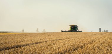 Vinnitsa, Ukrayna-Temmuz 27,2016.Grain hasat, tahıl, bir gün batımı buğday hasat boşaltma sonsuz alanlar'ın altında mavi gökyüzü, yaz peyzaj araya. Tarım, iş, doğa ve kavram