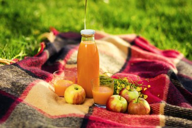 Çimlerde piknik. suyu, bir demet kır çiçekleri, meyve, ot, sağlıklı yiyecek ve aksesuarları, piknik çim yaz saati dinlenme Parkta piknik 