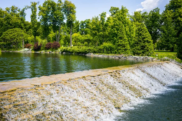 Paisajismo en el jardín. El camino en el jardín. Hermoso diseño del paisaje del patio trasero, Algunas flores y arbustos bien recortados en el patio delantero nivelado, Paisaje formal — Foto de Stock