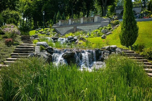 Paisagismo no jardim. O caminho no jardim.Projeto bonito da paisagem do quintal, algumas flores e arbustos bem aparados no quintal dianteiro nivelado, Paisagem formal — Fotografia de Stock