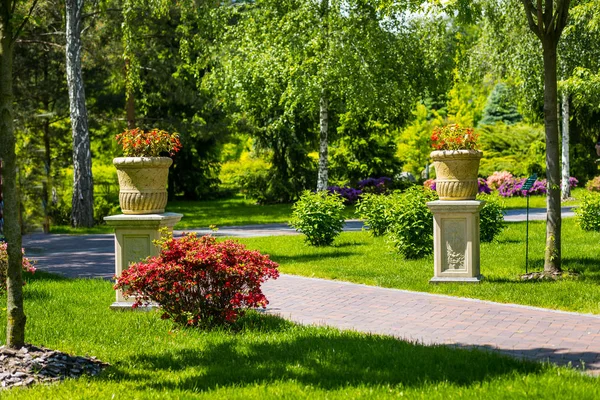 Paisajismo en el jardín. El camino en el jardín. Hermoso diseño del paisaje del patio trasero, Algunas flores y arbustos bien recortados en el patio delantero nivelado, Paisaje formal —  Fotos de Stock