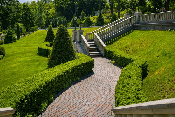 Paisajismo en el jardín. El camino en el jardín. Hermoso diseño del paisaje del patio trasero, Algunas flores y arbustos bien recortados en el patio delantero nivelado, Paisaje formal —  Fotos de Stock