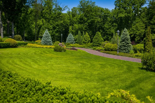 Paisajismo en el jardín. El camino en el jardín. Hermoso diseño del paisaje del patio trasero, Algunas flores y arbustos bien recortados en el patio delantero nivelado, Paisaje formal —  Fotos de Stock