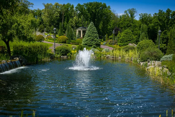 Kiev,Ukraine - May 27,2017.Landscaping in the garden. The path in the garden.Beautiful backyard landscape design,Some flowers and nicely trimmed bushes on the leveled front yard,Landscape formal — Stock Photo, Image