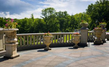 Mezhgorye, Ukrayna-27,2017.Landscaping Bahçe olabilir. Bahçedeki yolu. Güzel arka bahçe peyzaj tasarımı, bazı çiçekler ve düzeltilmiş açık avluda güzel kesilmiş çalılar manzara resmi