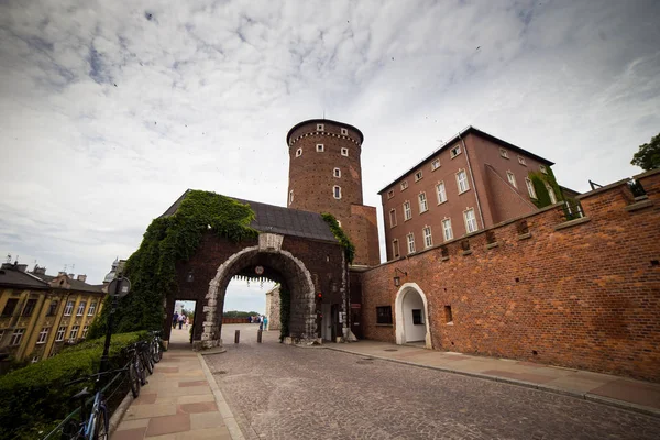 10 lipca 2017 r. Kraków - Wawel o dzień, wzgórze Wawelskie z Katedra i zamek, zamek na Wawelu złożony w Kraków, Polska, zabytkowe centrum, miasto z antyczny architektura. — Zdjęcie stockowe