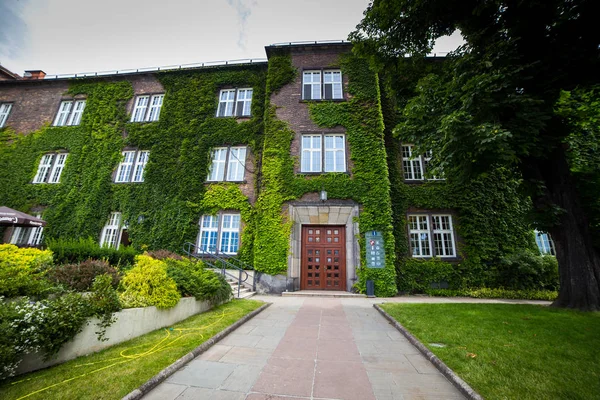 Krakow - gün, Wawel hill Katedrali ile Wawel Kalesi ve Kalesi, Wawel Kalesi, Krakow, Polonya, tarihi merkez, bir şehir antik mimariye sahip karmaşık.