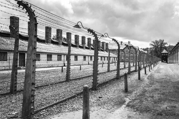 Barracks and barbed wire in a concentration camp in Auschwitz (Poland).Museum Auschwitz - Birkenau.Barbed wire around a concentration camp.