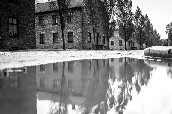 Bölüm, Auschwitz toplama kampında, bir toplama kampı Auschwitz'de (Polonya) barakalarda. Müze Auschwitz - Birkenau.