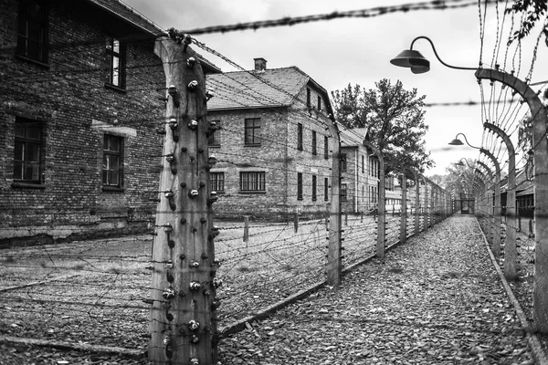 Kışla ve dikenli tel (Polonya) Auschwitz toplama kampında. Müze Auschwitz - Birkenau.Barbed telle bir toplama kampı.