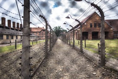 Auschwitz, Polonya - 11 Temmuz 2017.Barracks ve dikenli tel (Polonya) Auschwitz toplama kampında. Müze Auschwitz - Birkenau.Barbed telle bir toplama kampı.
