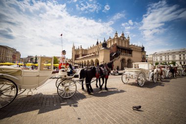 10 Temmuz 2017-Krakow, Polonya - taşıma ile at nalı, eski şehir merkezi, Krakow Pazar Meydanı, tarihi merkez, antik mimariye sahip bir şehir.