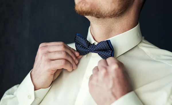 Homem borboleta roupas, homem de negócios colocando gravata borboleta. Terno, Mãos, cuidado, gravata, corrigir, ajustar, moda, arco . — Fotografia de Stock