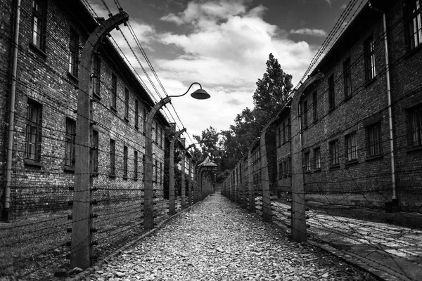Auschwitz, Polonya - 11 Temmuz 2017.Barracks ve dikenli tel (Polonya) Auschwitz toplama kampında. Müze Auschwitz - Birkenau.Barbed telle bir toplama kampı. — Stok fotoğraf