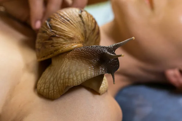 Young woman undergoing treatment with giant Achatina snails in beauty salon, closeup.Cosmetological procedure.A woman with a snail,Cleaning procedure in spa salon — Stock Photo, Image