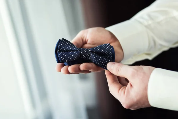 man butterfly clothes,businessman putting on  bow tie. Suit, Hands, care, tie, to correct, to adjust, fashion, bow.man butterfly clothes,businessman putting on  bow tie. Suit, Hands, care, tie, to correct, to adjust, fashion, bow.