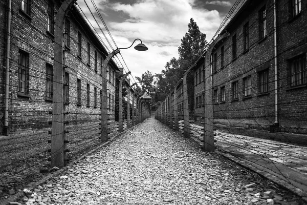 Auschwitz, Polonya - 11 Temmuz 2017.Barracks ve dikenli tel (Polonya) Auschwitz toplama kampında. Müze Auschwitz - Birkenau.Barbed telle bir toplama kampı.