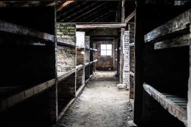 Auschwitz, Polonya - 11 Temmuz 2017.Barracks ve dikenli tel Müzesi'nde bir konsantrasyon kampında 