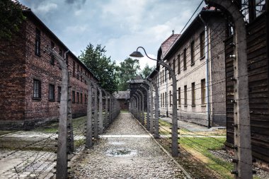 Auschwitz, Polonya - 11 Temmuz 2017. Auschwitz toplama kampı Müzesi Birkenau parçası.