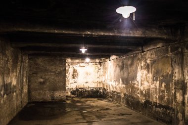 Auschwitz, Polonya - 11 Temmuz 2017. Auschwitz toplama kampı Müzesi Birkenau parçası.