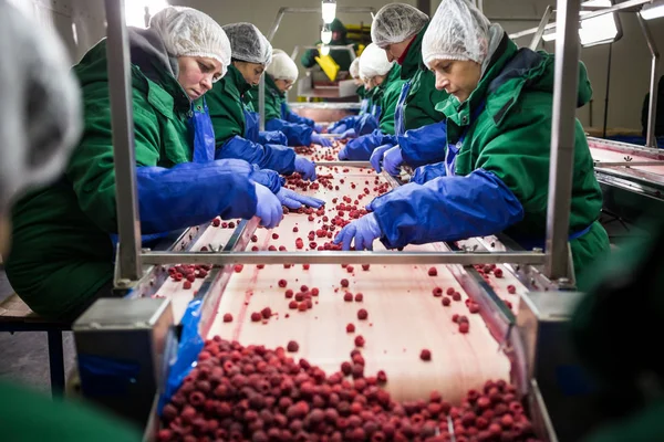 04 2017年 10 月 - ビニツァ、ウクライナ。蛋白質の職場の人々 — ストック写真