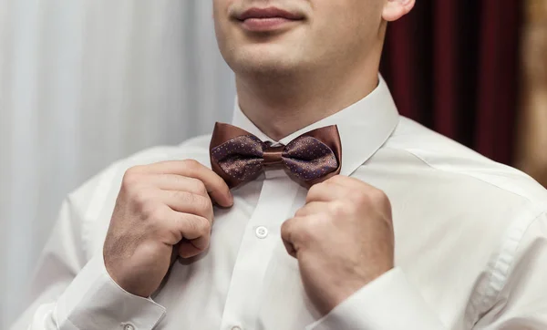 Homem de negócios colocando gravata borboleta, homem roupas de borboleta, noivo se preparando pela manhã antes da cerimônia de casamento — Fotografia de Stock