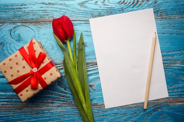 Весняна мати день Великодній червоний тюльпан квітковий мінімальний фон з копією простору — стокове фото
