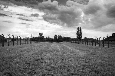 Auschwitz, Polonya - 11 Temmuz 2017.Barracks ve dikenli tel Müzesi'nde bir konsantrasyon kampında 