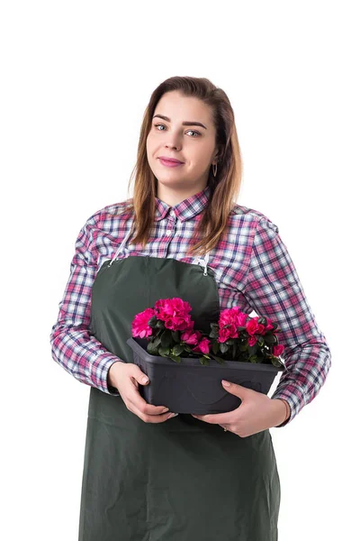 Retrato de mulher sorridente profissional jardineiro ou florista em avental segurando árvore em uma panela isolada em fundo branco — Fotografia de Stock