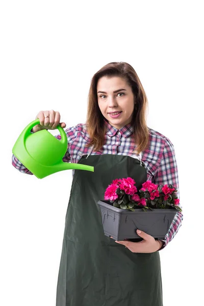 Porträt einer lächelnden Gärtnerin oder Floristin in Schürze mit Blumen im Topf und Gartengeräten auf weißem Hintergrund — Stockfoto