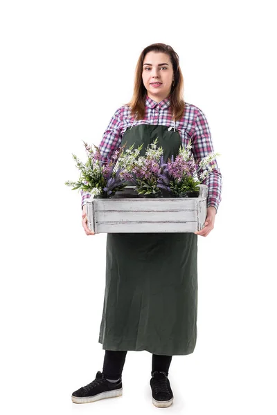 Портрет улыбающейся женщины - профессионального садовника или флориста в фартуке, держащего дерево в горшке на белом фоне — стоковое фото