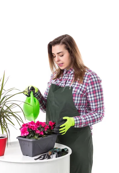 Ritratto di donna sorridente giardiniere professionista o fiorista in grembiule che tiene fiori in una pentola e attrezzi da giardinaggio isolati su sfondo bianco — Foto Stock