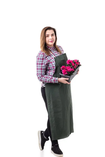 Портрет улыбающейся женщины профессиональный садовник или флорист в фартуке с цветами в горшке изолированы на белом фоне — стоковое фото