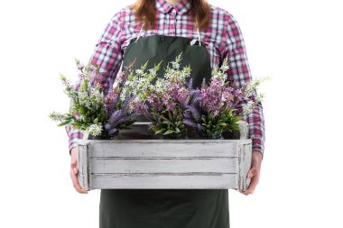 kadın profesyonel bahçıvan veya önlük beyaz arka plan üzerinde izole bir tencerede çiçek tutan çiçekçi