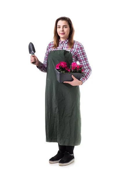Портрет усміхненої жінки професійного садівника або флориста в фартусі, що тримає квіти в горщику та садівничих інструментах ізольовані на білому тлі — стокове фото