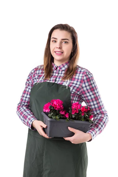 Ritratto di donna sorridente giardiniere professionista o fiorista in grembiule che tiene fiori in una pentola isolata su sfondo bianco — Foto Stock