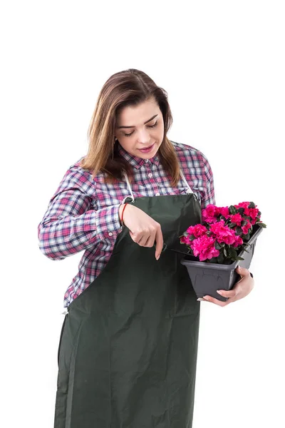 Portret van lachende vrouw professionele tuinman of bloemist in schort bloemen te houden in een pot en tuinieren hulpmiddelen geïsoleerd op witte achtergrond — Stockfoto