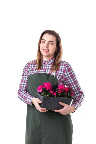 Retrato de mujer sonriente jardinero profesional o florista en delantal sosteniendo flores en una olla aislada sobre fondo blanco — Foto de Stock