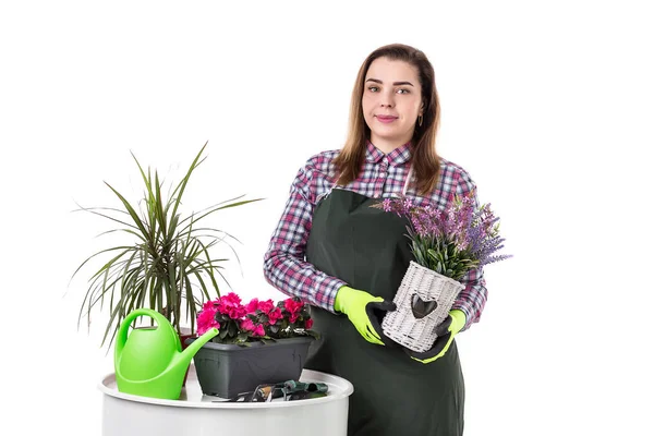 Portret van lachende vrouw professionele tuinman of bloemist in schort bloemen te houden in een pot geïsoleerd op witte achtergrond — Stockfoto