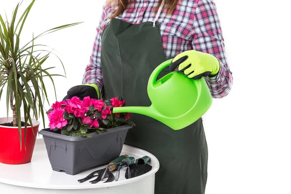 Vrouw professionele tuinman of bloemist in schort bloemen te houden in een pot en tuinieren hulpmiddelen geïsoleerd op witte achtergrond — Stockfoto