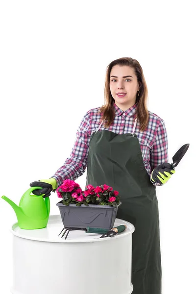 Portrait of smiling woman professional gardener or florist in apron holding flowers in a pot and gardening tools  isolated on white background — Stock Photo, Image