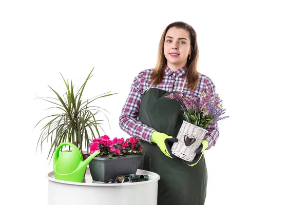 Portrait of smiling woman professional gardener or florist in apron holding flowers in a pot isolated on white background — Stock Photo, Image