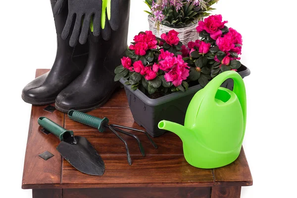 Tuinieren hulpmiddelen en bloemen zoals de gieter, laarzen rubber, vazen, potten, handschoenen geïsoleerd op witte achtergrond — Stockfoto