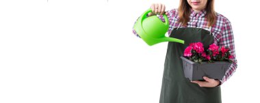 kadın profesyonel bahçıvan veya Çiçekçi Çiçek bir tencereye tutarak ve beyaz arka plan üzerinde izole araçları bahçe önlük. Kopya alanı