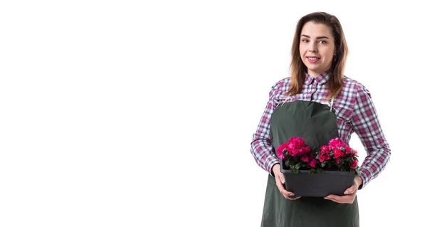 Portret uśmiechnięta kobieta profesjonalny ogrodnik lub Kwiaciarnia w fartuch gospodarstwa kwiaty w doniczce na białym tle. Miejsce — Zdjęcie stockowe