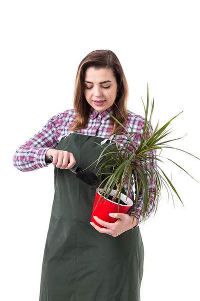 Vrouw professionele tuinman of bloemist in schort bloemen te houden in een pot en tuinieren hulpmiddelen geïsoleerd op witte achtergrond — Stockfoto